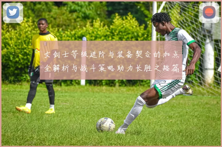 女剑士等级进阶与装备契合的加点全解析与战斗策略助力长胜之路篇