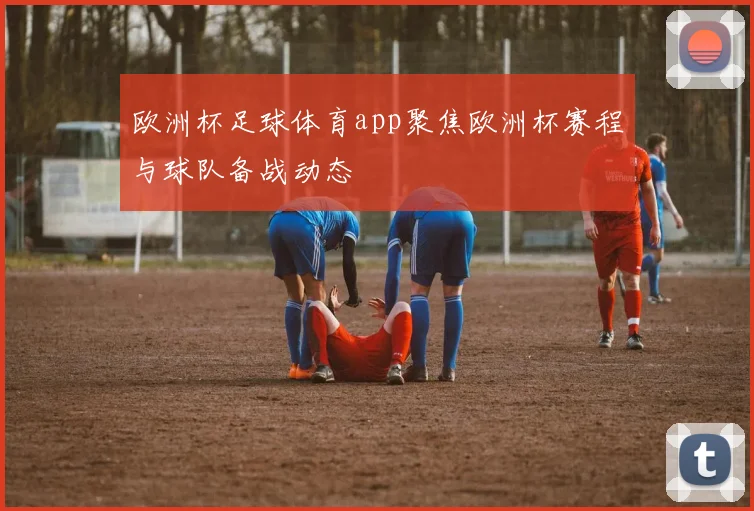 欧洲杯足球体育app聚焦欧洲杯赛程与球队备战动态