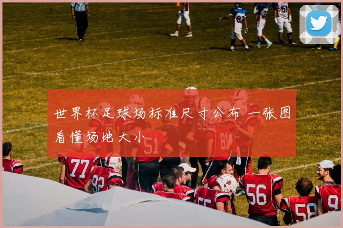 世界杯足球场标准尺寸公布 一张图看懂场地大小